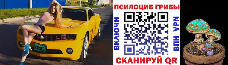 Галлюциногенные грибы Psilocybe  Абдулино 